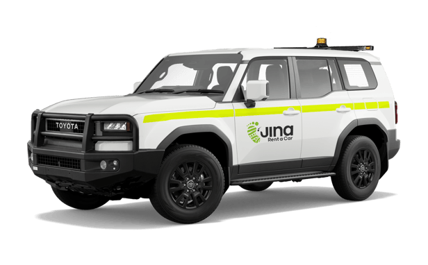 Prado 250 Series_mine LFAX