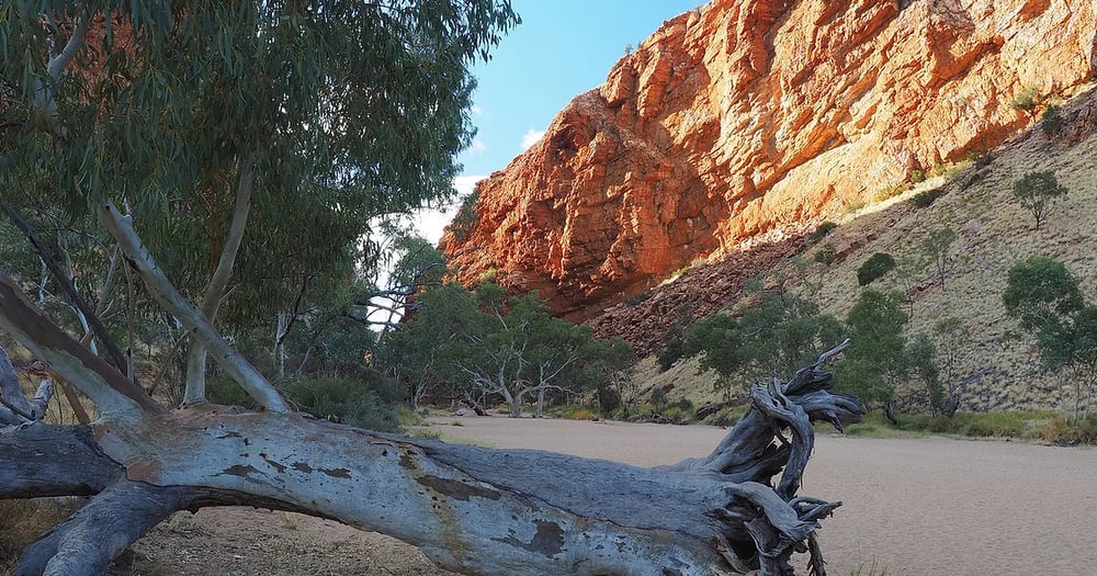 Alice Springs (Arrernte)