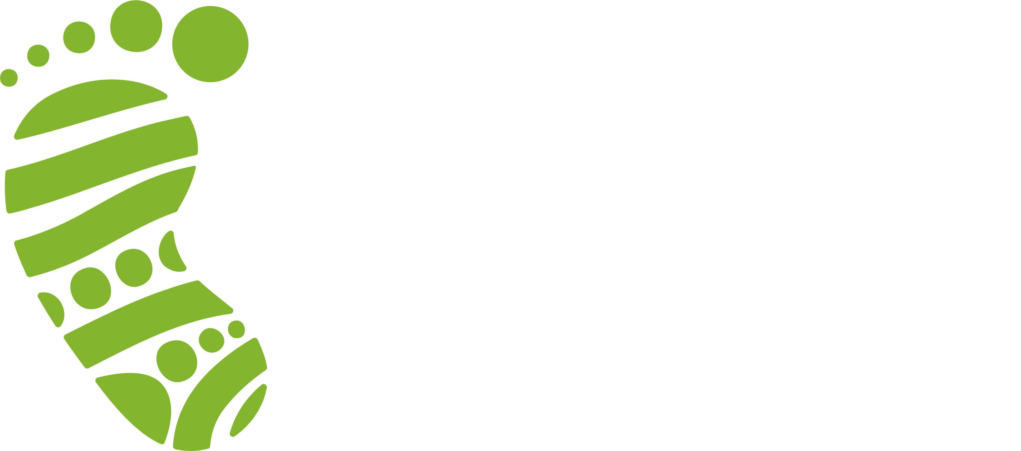 Jina Rent a Car