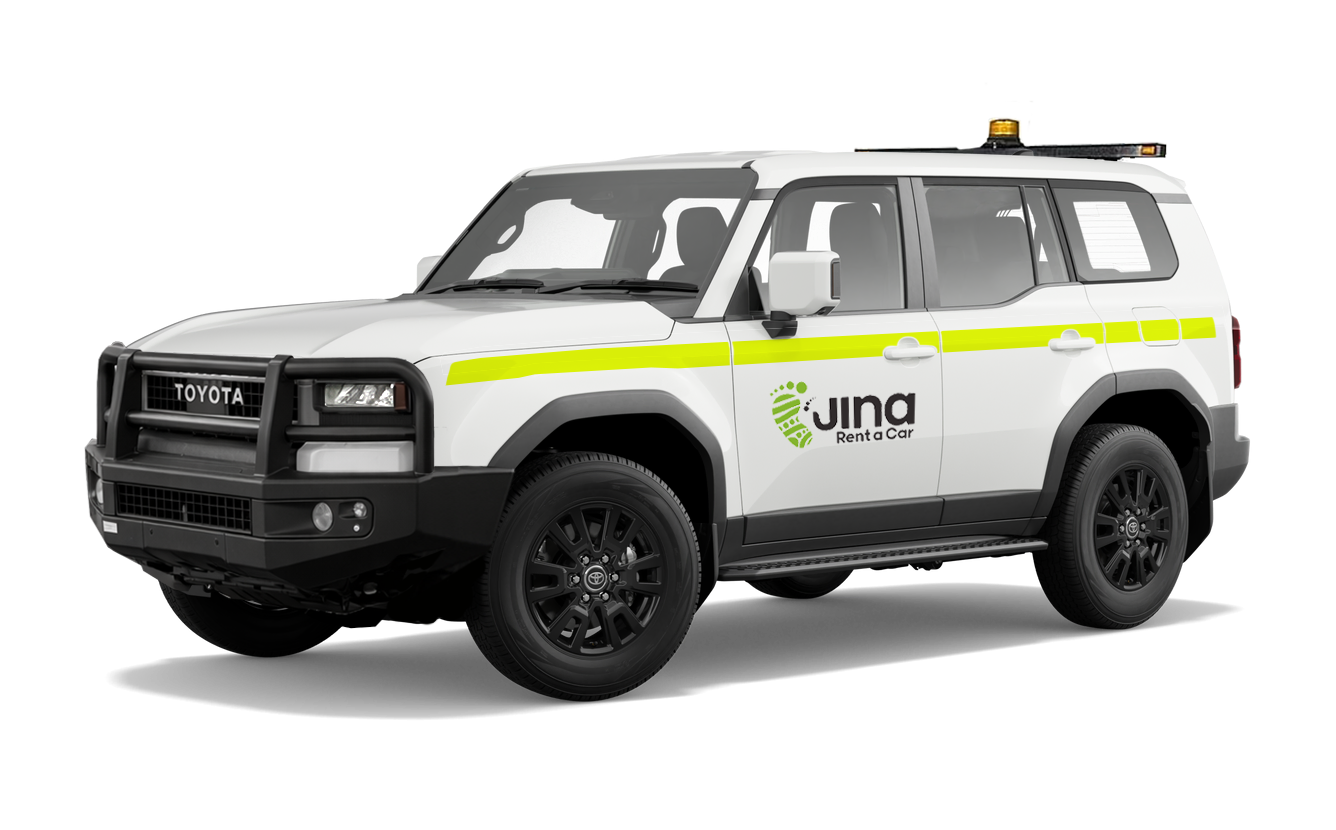 Prado 250 Series_mine LFAX